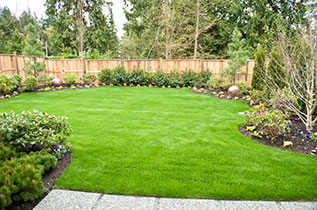 A large attractive lawn